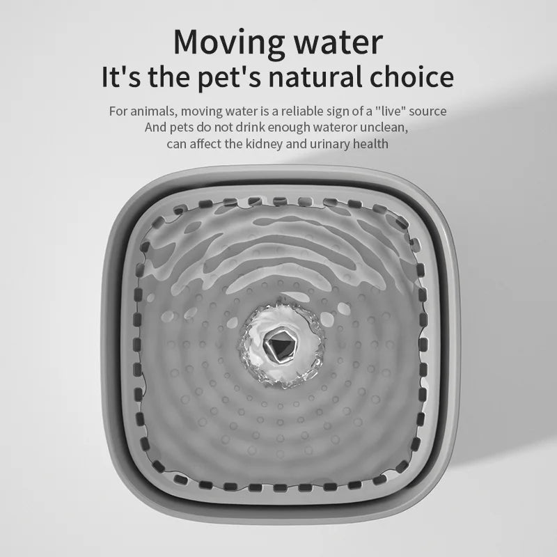 Silent Flow Cat Fountain
