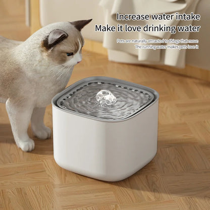 Silent Flow Cat Fountain