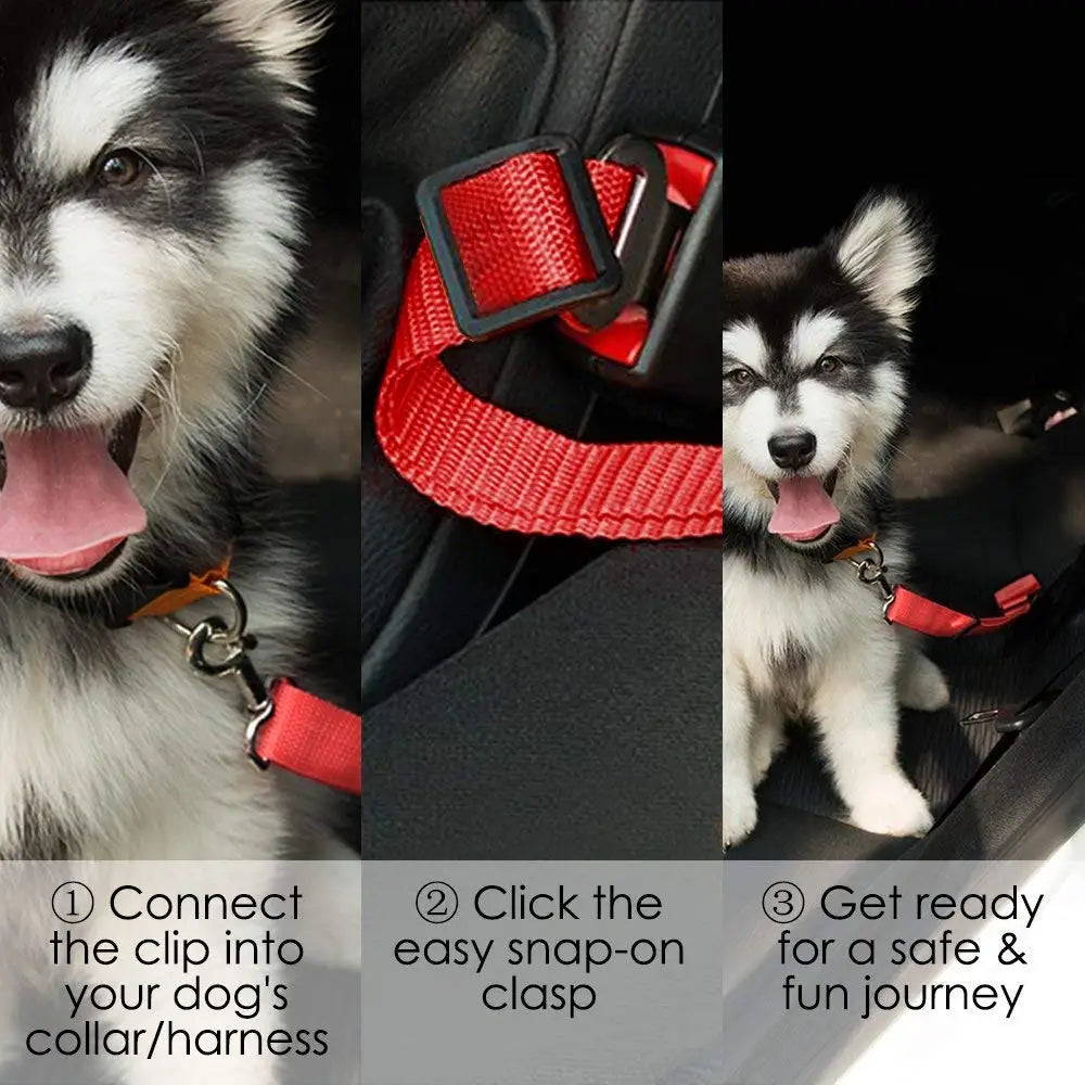 Safe Ride Pet Car Harness