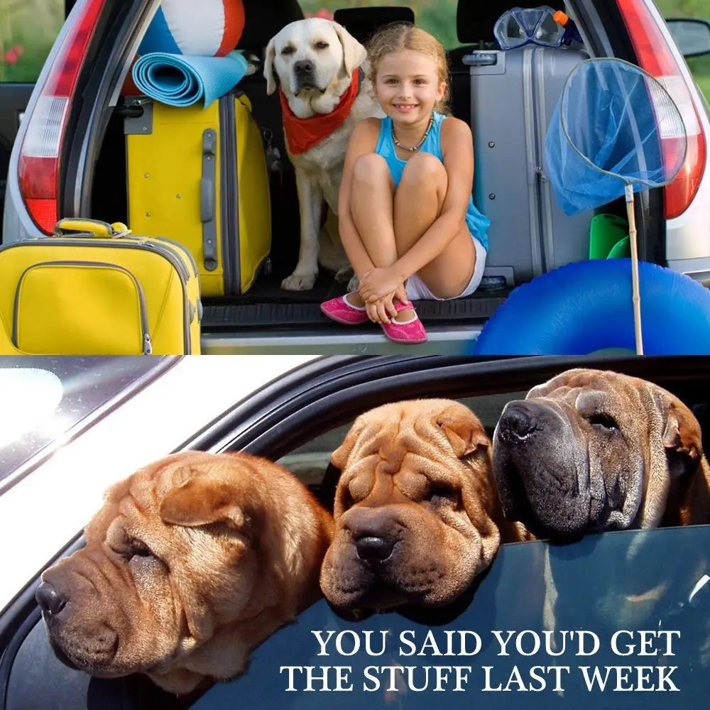 Safe Ride Pet Car Harness
